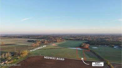 Gorgeous 4.29-Acre WATERFRONT Homesite in SandHill Farms! Lot 4 - photo 1