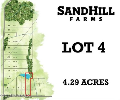 Gorgeous 4.29-Acre WATERFRONT Homesite in SandHill Farms! Lot 4 - photo 3