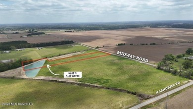 Gorgeous 4.29-Acre WATERFRONT Homesite in SandHill Farms! Lot 4 - photo 5