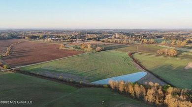 Gorgeous 4.29-Acre WATERFRONT Homesite in SandHill Farms! Lot 4 - photo 8