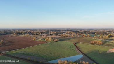 Gorgeous 4.29-Acre WATERFRONT Homesite in SandHill Farms! Lot 4 - photo 9