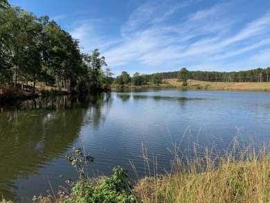 (private lake, pond, creek) Acreage For Sale in Washington Georgia