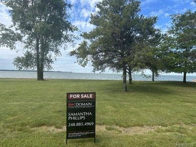  Lot For Sale in Pigeon Michigan