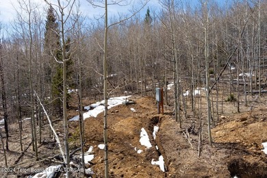 This is the chance for your dream mountain cabin! This gorgeous - photo 12