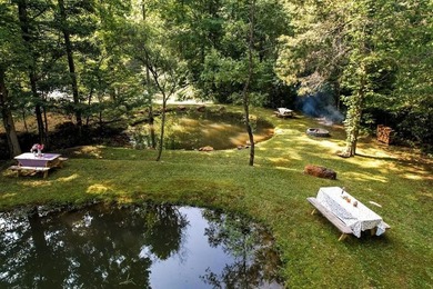 Dreaming of a unique Western NC hospitality venture where you - photo 5