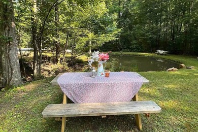 Dreaming of a unique Western NC hospitality venture where you - photo 6