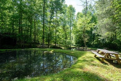 Dreaming of a unique Western NC hospitality venture where you - photo 7