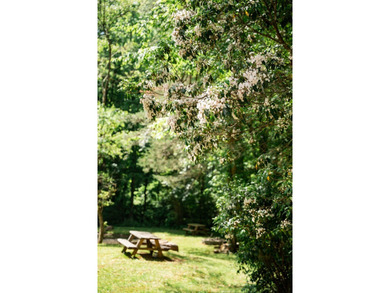 Dreaming of a unique Western NC hospitality venture where you - photo 9