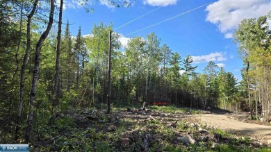 Crane Lake. Rare opportunity to own part of a new development - Lake Acreage For Sale in Crane Lake, Minnesota