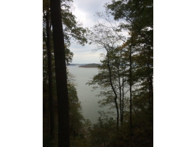 Brand New-yr Round Spectacular View Lot - Lake Lot For Sale in Scottsville, Kentucky