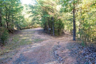 Hidden deep on 20 secluded acres of hardwoods & pine, this - photo 49
