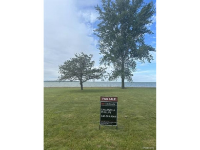  Lot For Sale in Pigeon Michigan