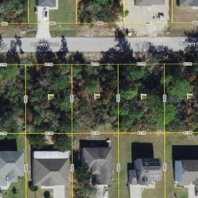 Lake Marion - Polk County Lot For Sale in Poinciana Florida