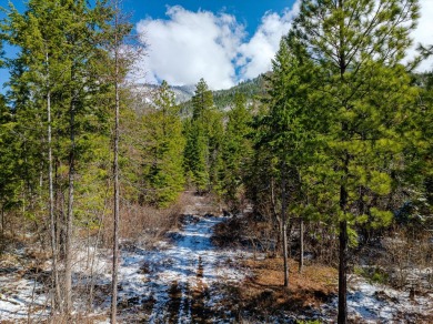 Lake Acreage For Sale in Polson, Montana
