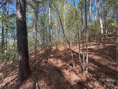 Lake Lot Sale Pending in Connelly Springs, North Carolina
