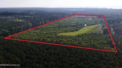 Build the Next Premier Community in One of Mississippi's - photo 2