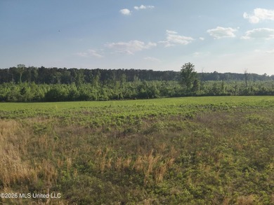 Build the Next Premier Community in One of Mississippi's - photo 6