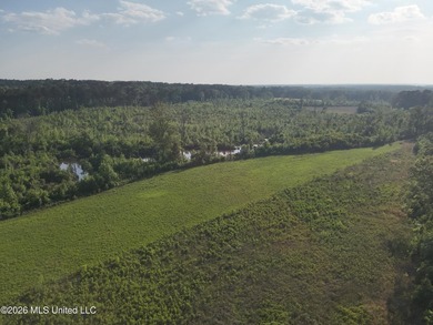 Build the Next Premier Community in One of Mississippi's - photo 7