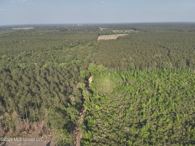 Build the Next Premier Community in One of Mississippi's - photo 8