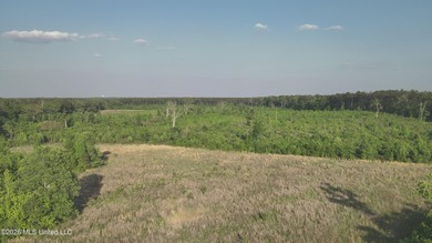 Build the Next Premier Community in One of Mississippi's - photo 9
