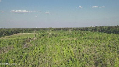Build the Next Premier Community in One of Mississippi's - photo 10