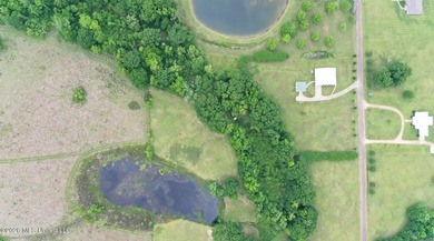 Nestled on five beautiful acres, this versatile property offers - photo 3