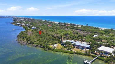Nestled along the pristine canopy road section of Manasota Key - photo 8