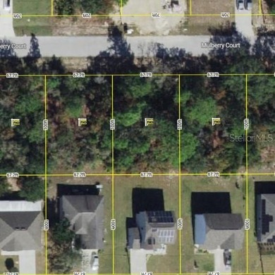 Lake Marion - Polk County Lot For Sale in Poinciana Florida
