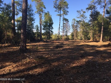 Approx 16.66 acres with approx 880' on the Jourdan River. Some - photo 2