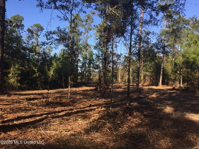 Approx 16.66 acres with approx 880' on the Jourdan River. Some - photo 4