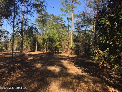 Approx 16.66 acres with approx 880' on the Jourdan River. Some - photo 5