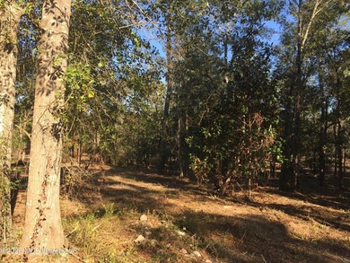 Approx 16.66 acres with approx 880' on the Jourdan River. Some - photo 7
