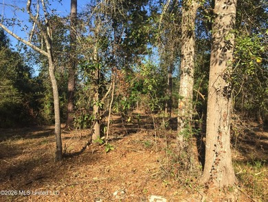Approx 16.66 acres with approx 880' on the Jourdan River. Some - photo 8