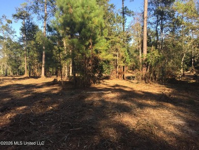 Approx 16.66 acres with approx 880' on the Jourdan River. Some - photo 9