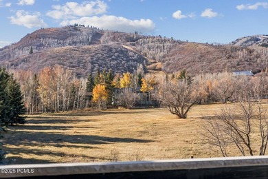 This brand new constructed home in Thaynes Canyon offers the - photo 29