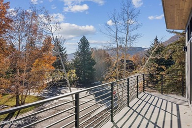 This brand new constructed home in Thaynes Canyon offers the - photo 34