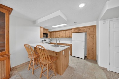 **Price Improvement!** Beautifully updated home with high-end - photo 38