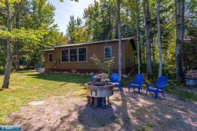 Lake Home For Sale in Tower, Minnesota