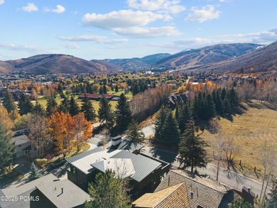 This brand new constructed home in Thaynes Canyon offers the - photo 60