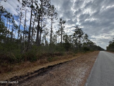 Take a look at this .24-acre wooded lot in the community of - photo 3