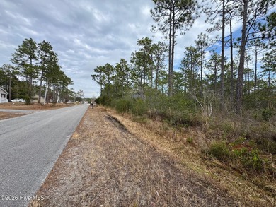 Take a look at this .24-acre wooded lot in the community of - photo 4