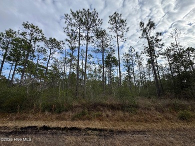 Take a look at this .24-acre wooded lot in the community of - photo 7