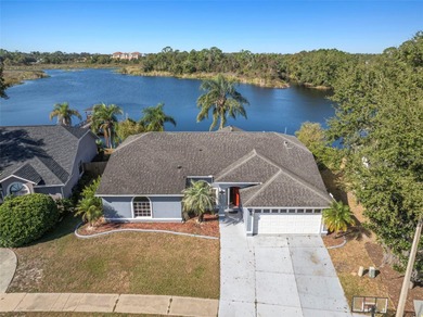 (private lake, pond, creek) Home Sale Pending in Land O Lakes Florida