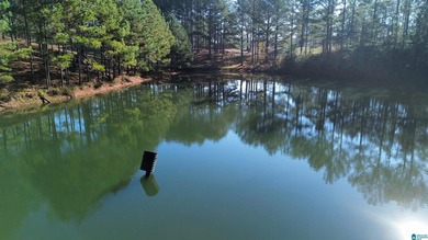CAPTURE THE SERENITY OF THIS ONE OF A KIND HOME, OR EVENT - photo 11