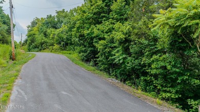 Amazing year-round views await from this beautiful 5.3-acre - photo 1