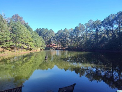 CAPTURE THE SERENITY OF THIS ONE OF A KIND HOME, OR EVENT - photo 50