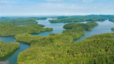 Lake Acreage For Sale in Ellijay, Georgia