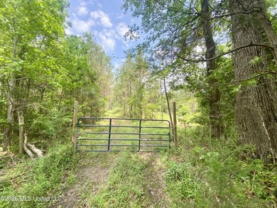 Secluded 43+ acre tract located off Hwy 27 just east of Utica - photo 2