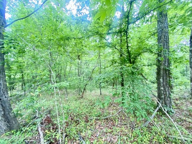 Secluded 43+ acre tract located off Hwy 27 just east of Utica - photo 5