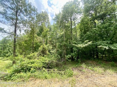 Secluded 43+ acre tract located off Hwy 27 just east of Utica - photo 6